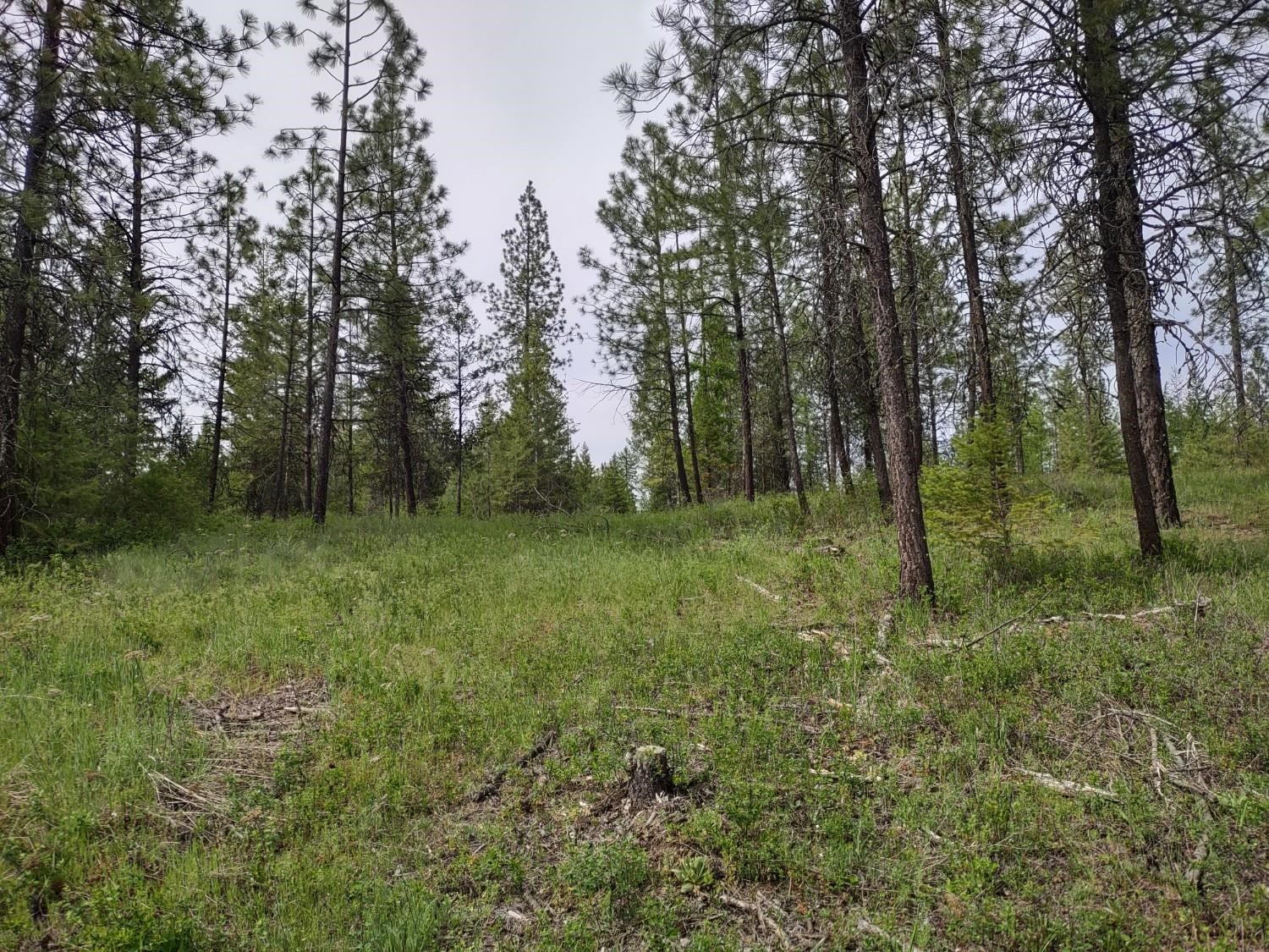 Xx East Jumpoff Road, Unit LOT 2 APPROX 64 ACRES Valley, WA 99181 - Photo 10 of 10