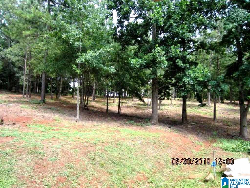 4530 Oak Grove Road Lineville, AL 36266 - Photo 22 of 25
