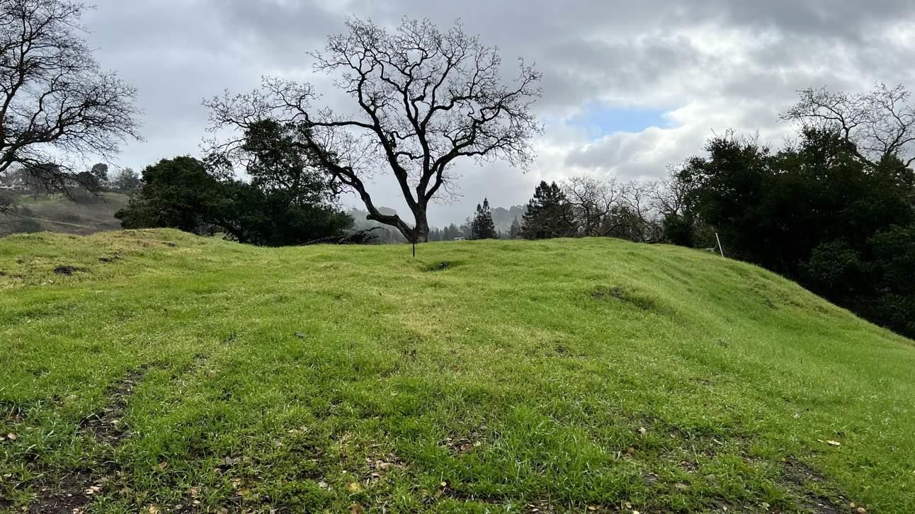 3302 Springhill Road Lafayette, CA 94549 - Photo 5 of 14 a fire hydrant in the middle of a field