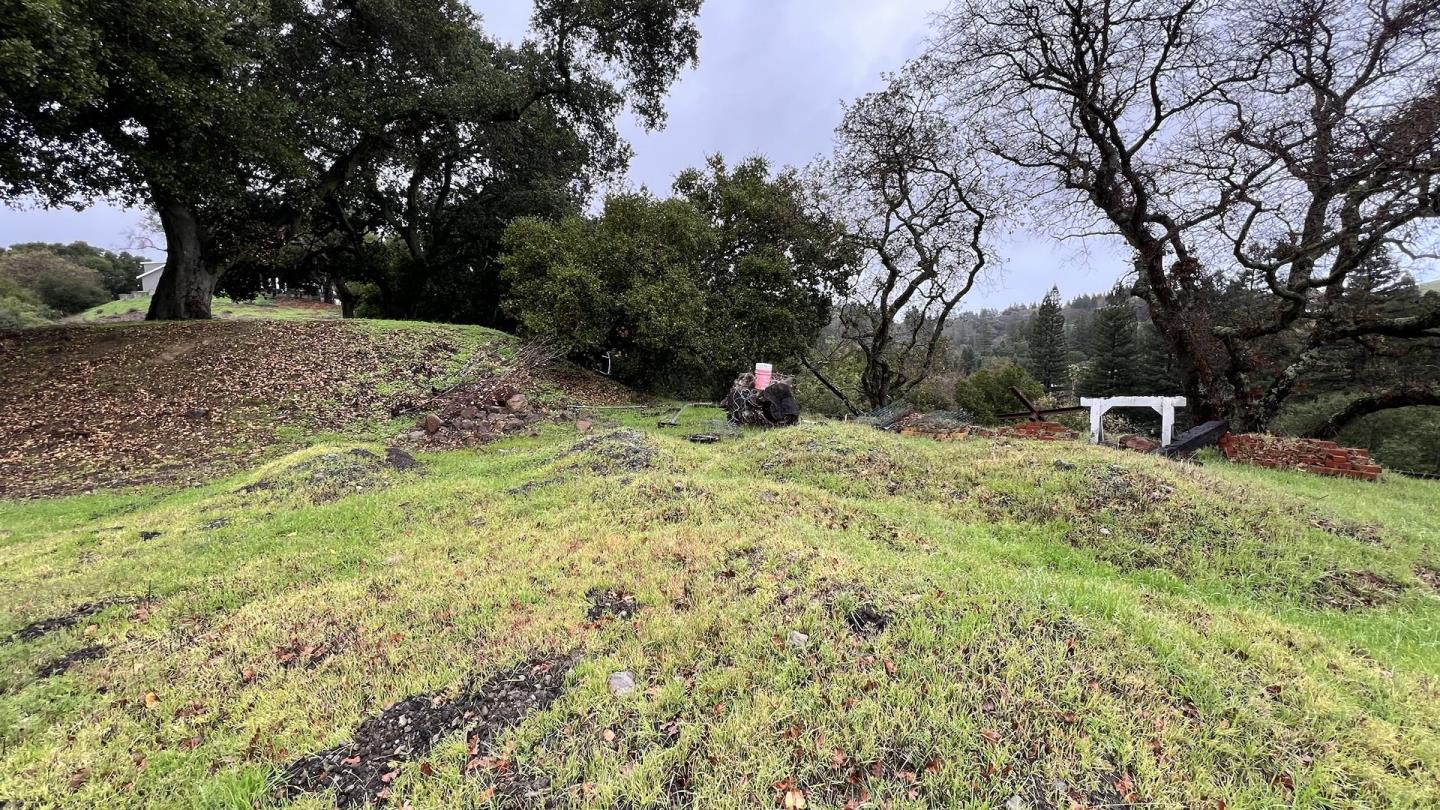 3302 Springhill Road Lafayette, CA 94549 - Photo 6 of 14 a view of outdoor space with trees