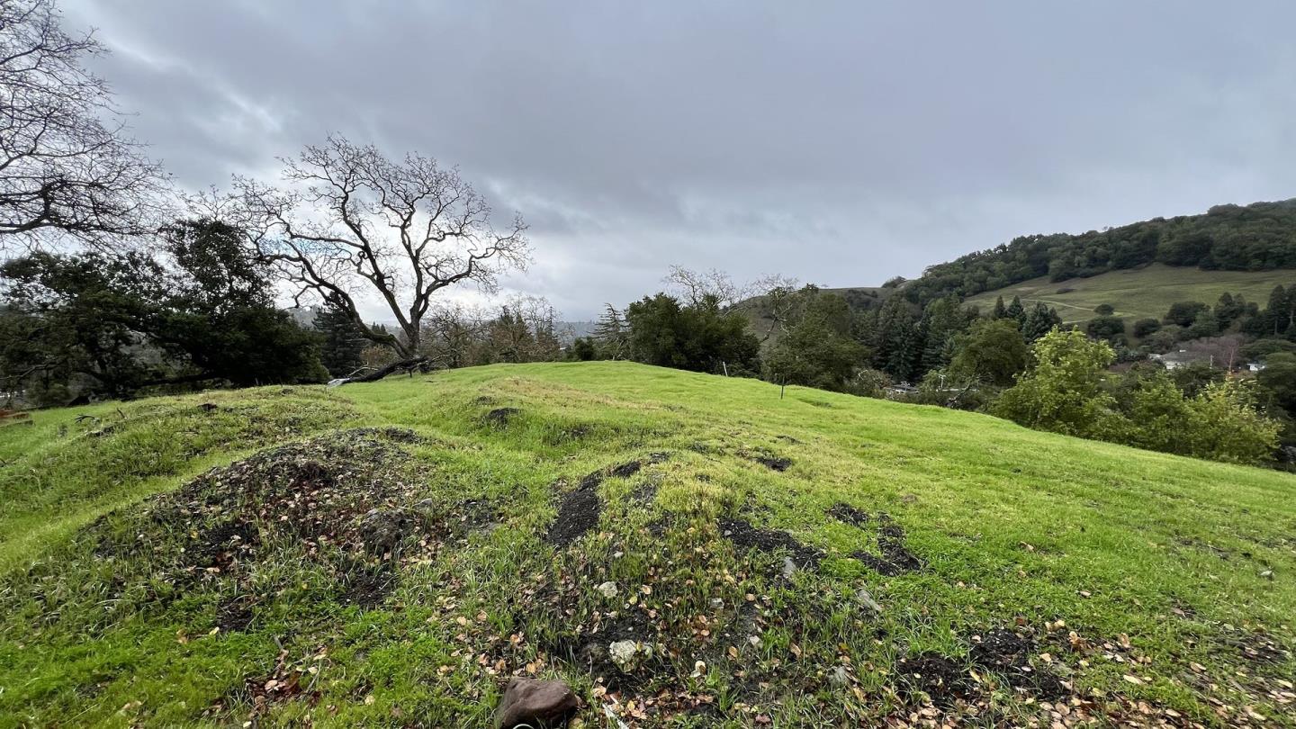 3302 Springhill Road Lafayette, CA 94549 - Photo 7 of 14 a view of a grassy field with trees in the background