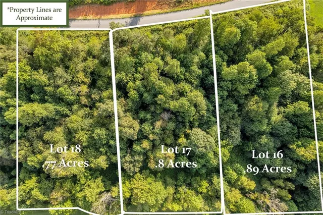 $56,514 | Lot 17 Regal Oaks Drive, Wilkesboro, NC 28697