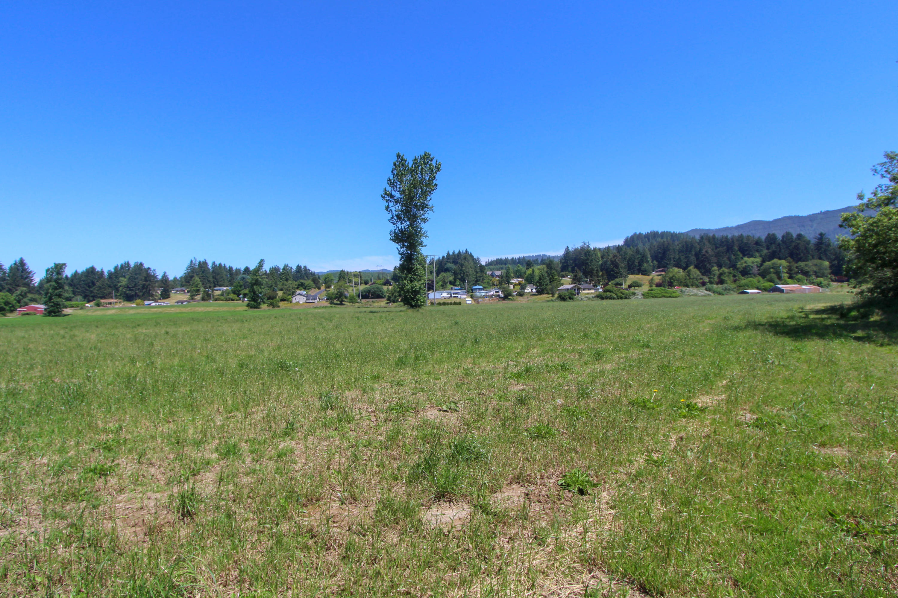 Tl# 00202 Tl Road Tillamook, OR 97141 - Photo 7 of 12 7