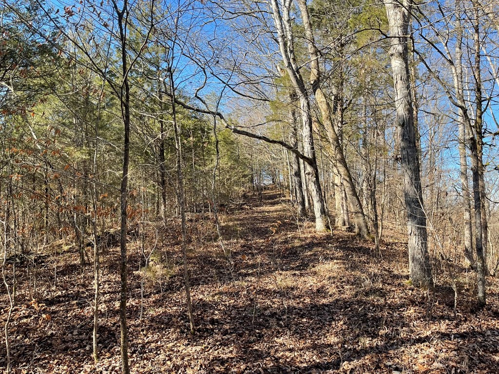 0 Sims Road Sevierville, TN 37876 - Photo 11 of 22