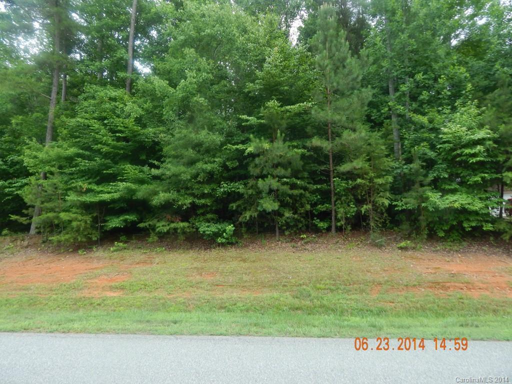 8017 Summit Ridge Drive Catawba, NC 28609 - Photo 1 of 14 Gallery Image 1