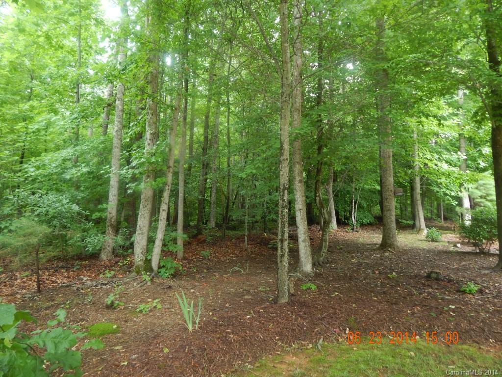 8017 Summit Ridge Drive Catawba, NC 28609 - Photo 2 of 14 Gallery Image 2