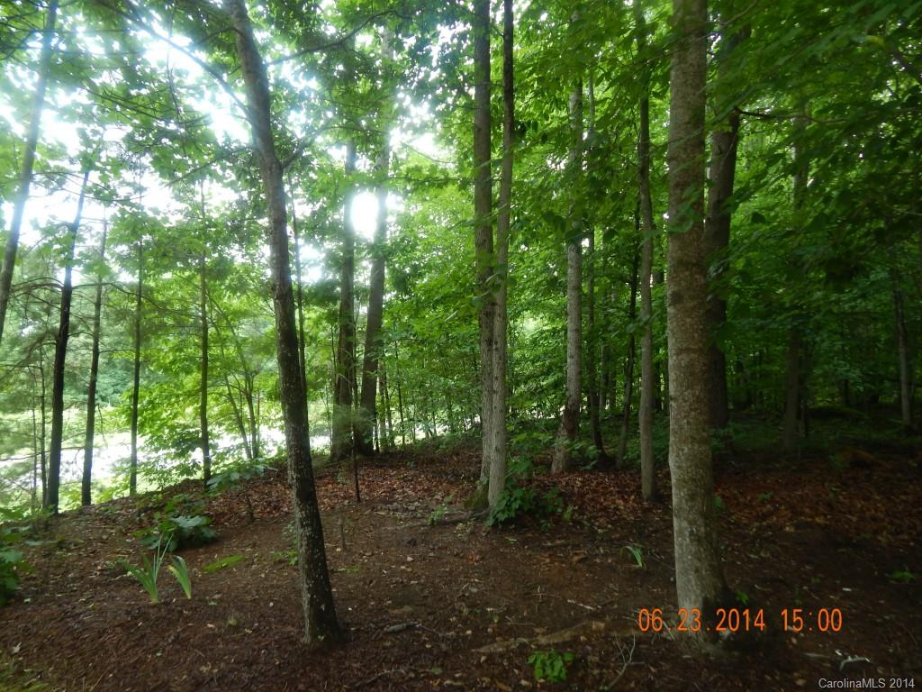 8017 Summit Ridge Drive Catawba, NC 28609 - Photo 3 of 14 Gallery Image 3