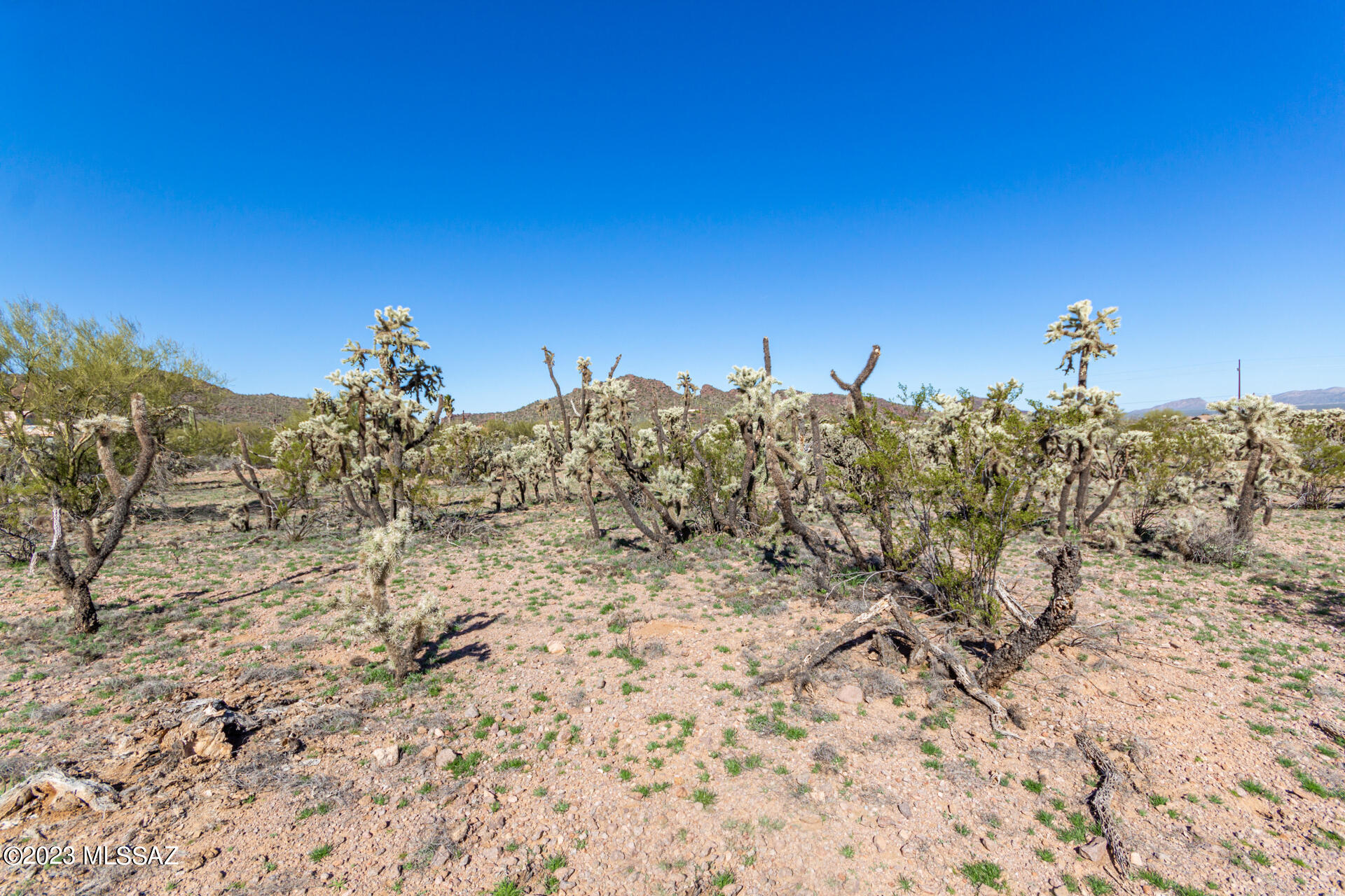 8121 West Pima Farms Road Tucson, AZ 85743 - Photo 10 of 32 Gallery Image 10