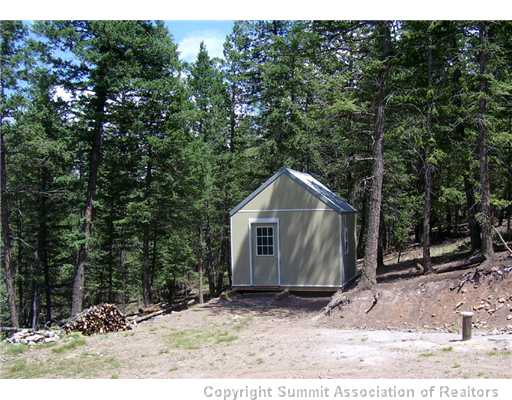 202 Jack Younce Road Guffey, CO 80820 - Photo 8 of 12 Exterior Front.