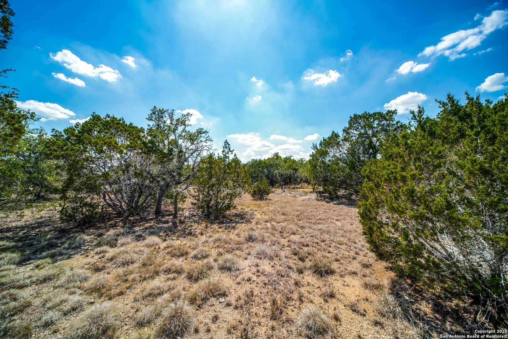 972 Scarlett Rdg Drive Bulverde, TX 78163 - Photo 1 of 10 a view of a yard