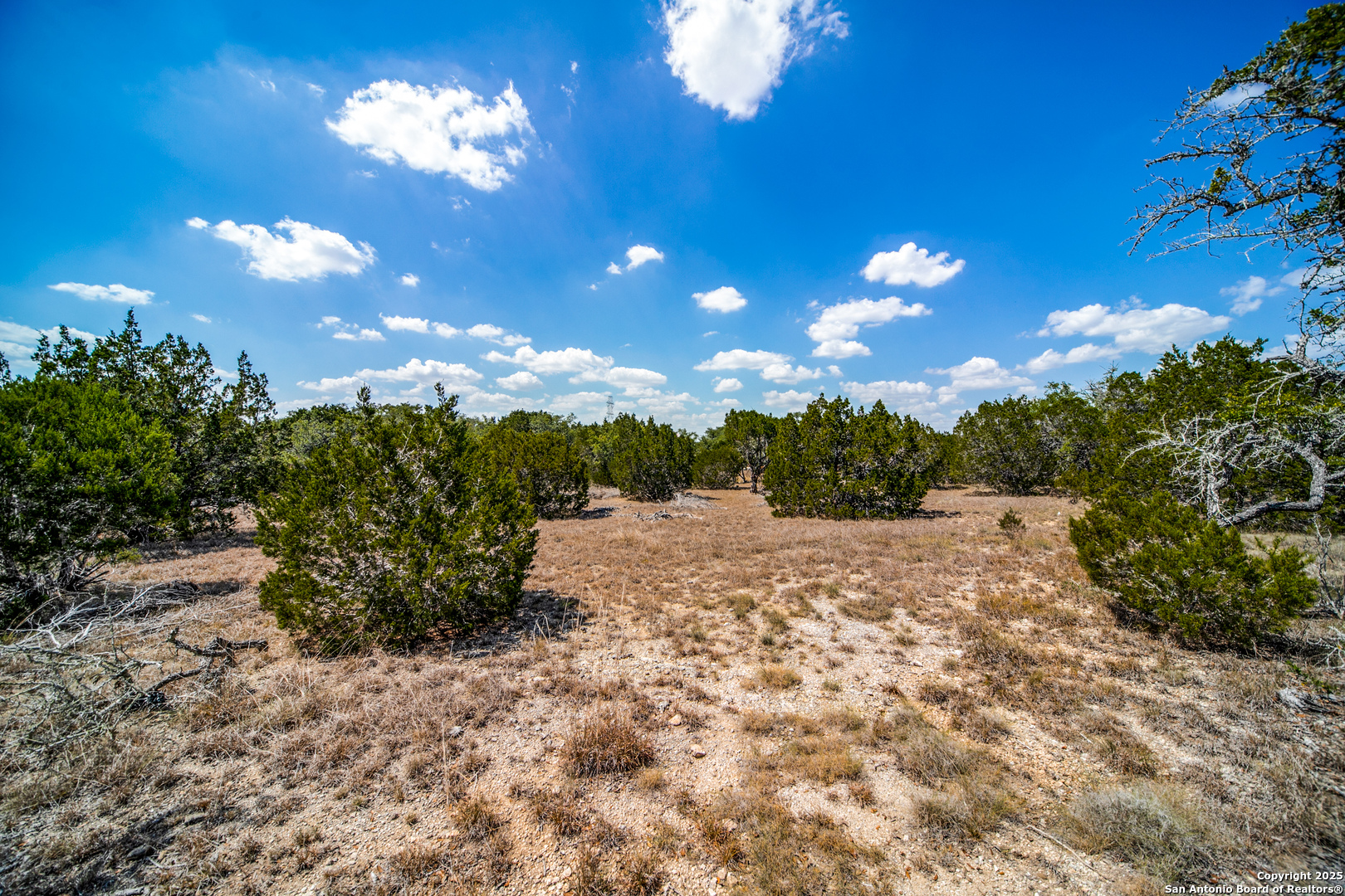 972 Scarlett Rdg Drive Bulverde, TX 78163 - Photo 2 of 10 a view of a yard with lots of green space