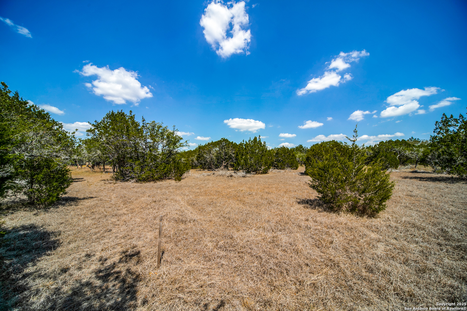 972 Scarlett Rdg Drive Bulverde, TX 78163 - Photo 4 of 10