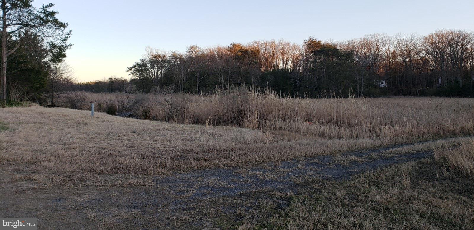 Marsh