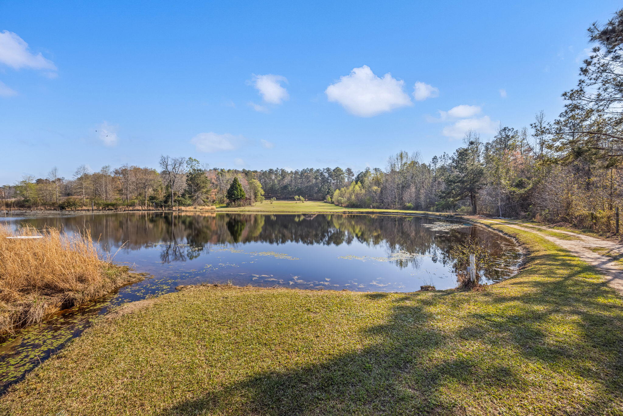 3768 Mitchner Road Dearing, GA 30808 - Photo 61 of 78 61-web-or-mls-3768 Mitchner Road-46