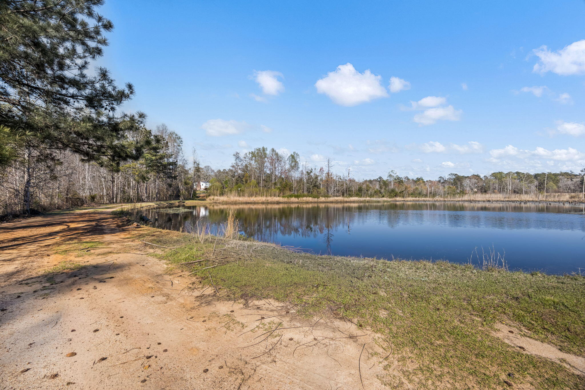 3768 Mitchner Road Dearing, GA 30808 - Photo 62 of 78 62-web-or-mls-3768 Mitchner Road-50