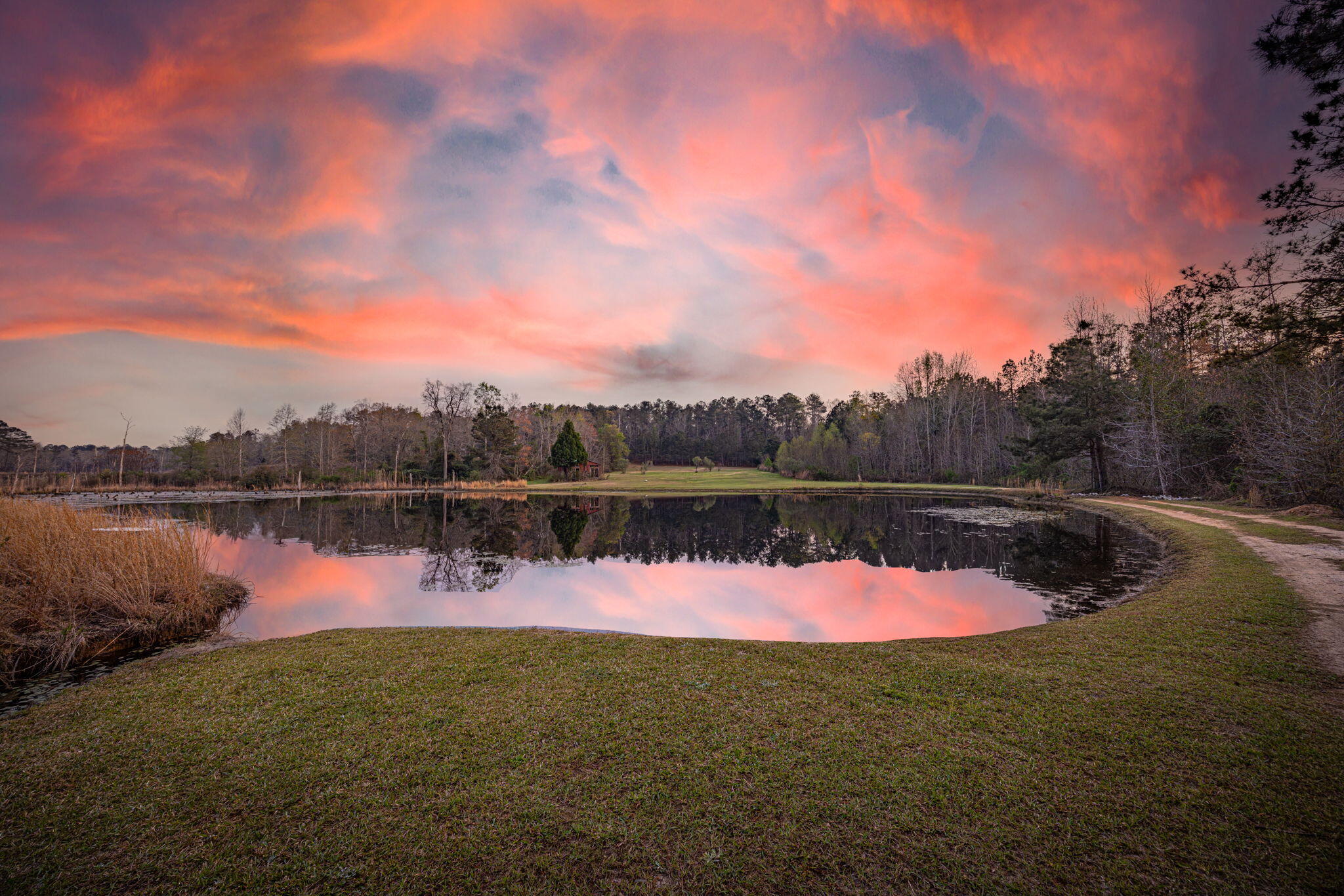 3768 Mitchner Road Dearing, GA 30808 - Photo 74 of 78 74-web-or-mls-3768 Mitchner Road TWILIGH