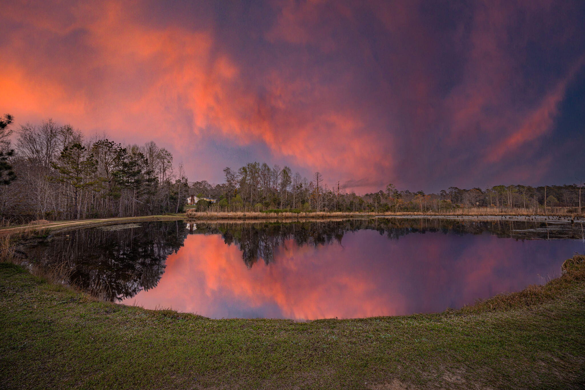 3768 Mitchner Road Dearing, GA 30808 - Photo 75 of 78 75-web-or-mls-3768 Mitchner Road TWILIGH