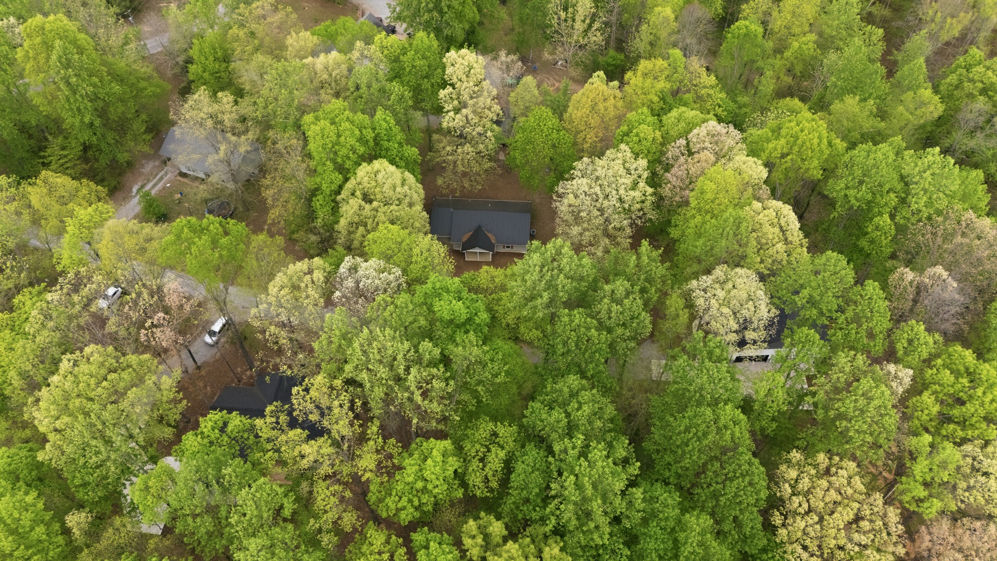 71 Periwinkle Path Leoma, TN 38468 - Photo 20 of 25