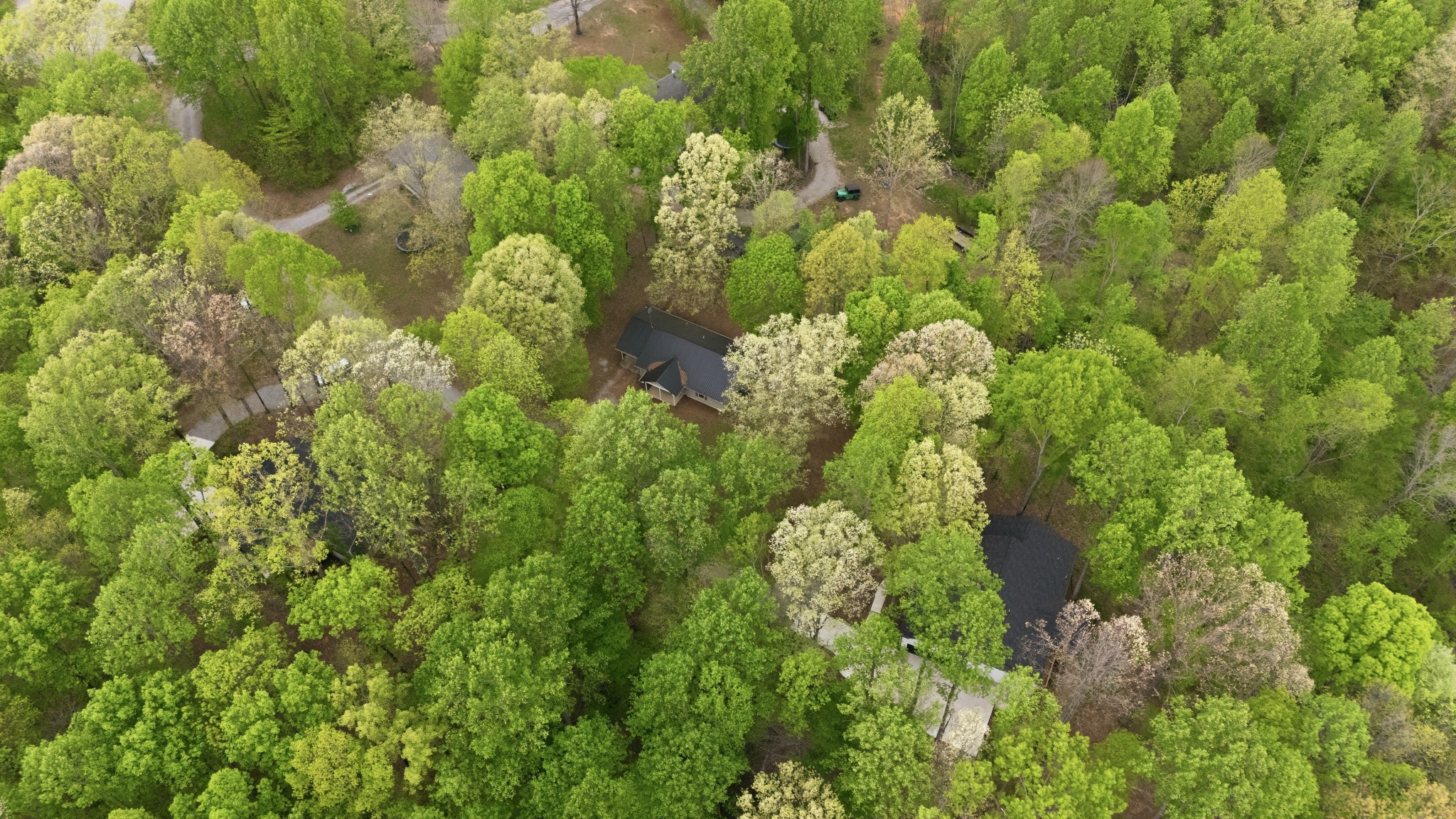 71 Periwinkle Path Leoma, TN 38468 - Photo 21 of 25