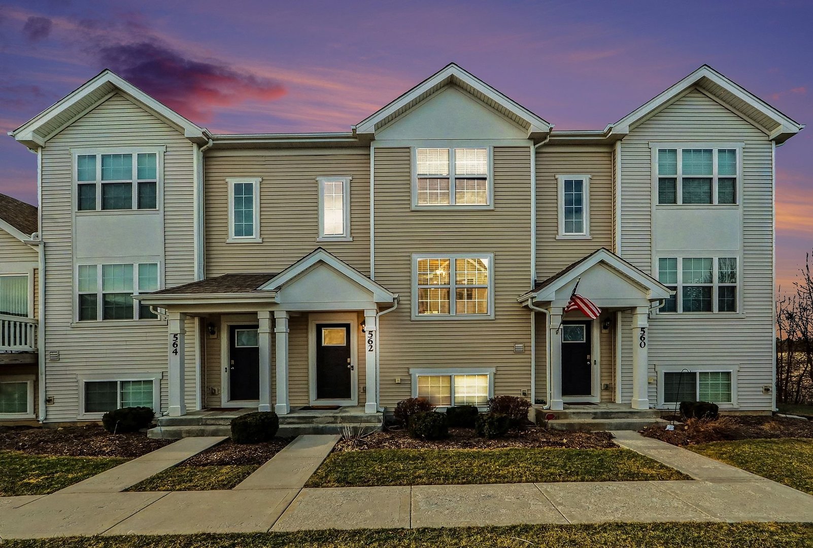 562 Spring Leaf Drive Joliet, IL 60431 - Photo 2 of 30