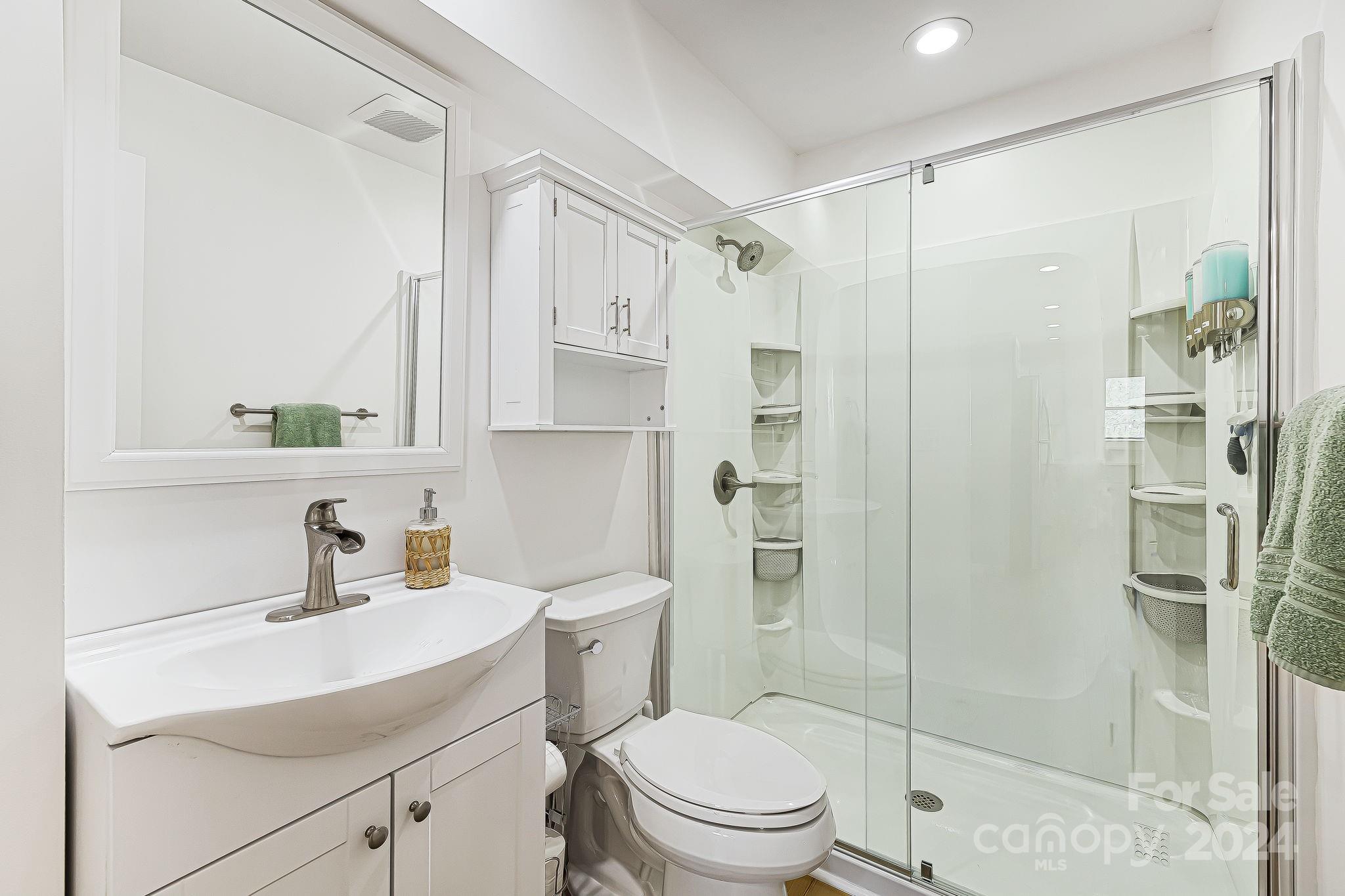 850 East Fork Road Marshall, NC 28753 - Photo 25 of 48 a bathroom with a sink a toilet and shower