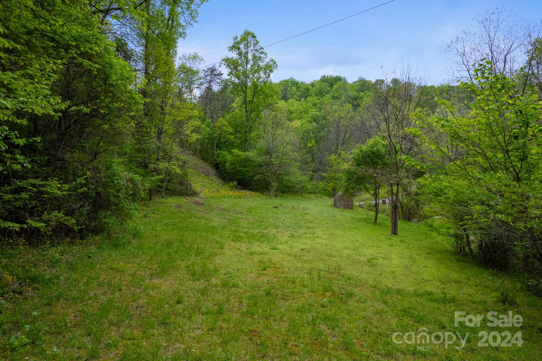 850 East Fork Road Marshall, NC 28753 - Photo 35 of 48 a view of a garden