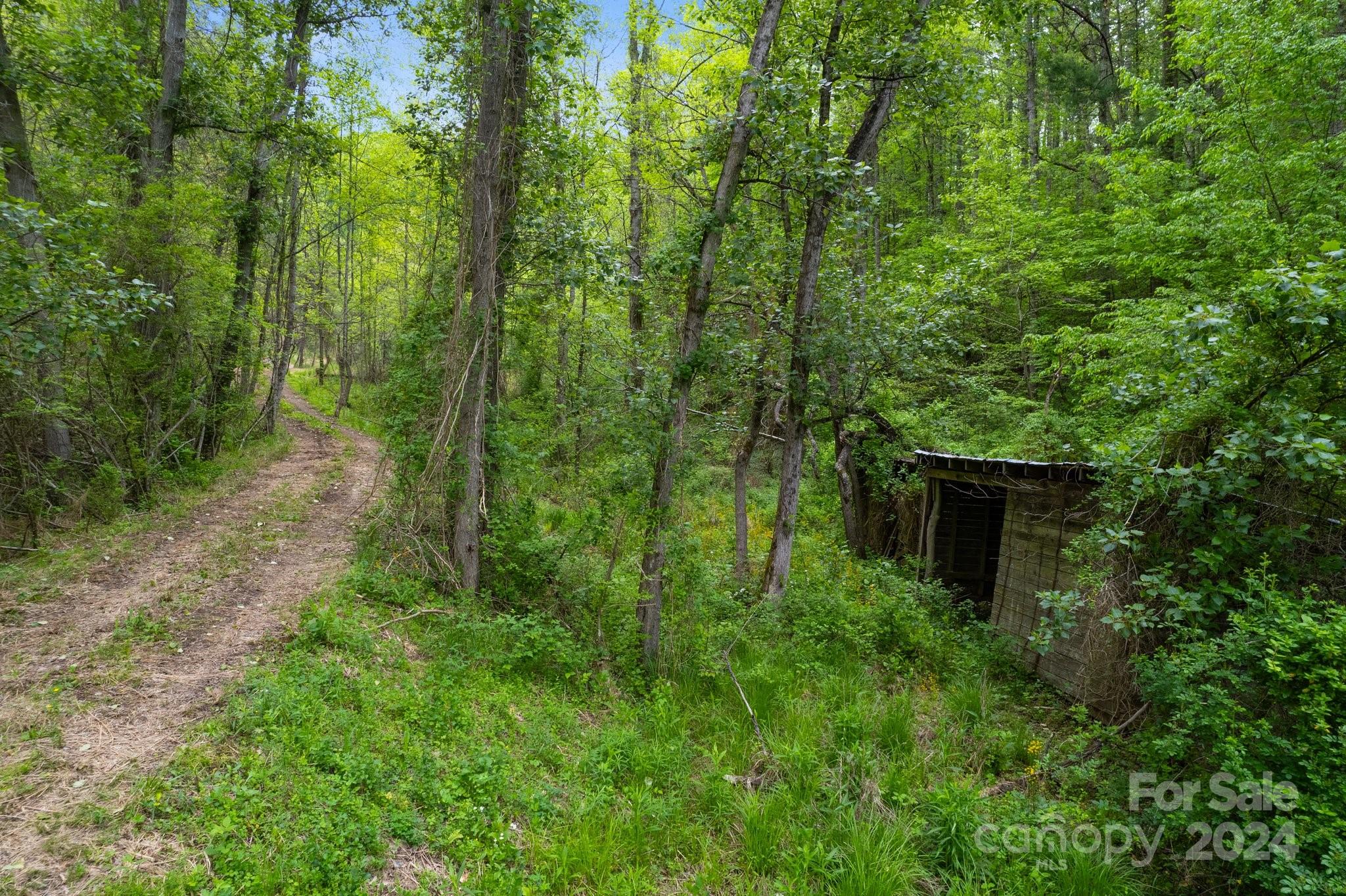 850 East Fork Road Marshall, NC 28753 - Photo 36 of 48 a view of a house with a backyard