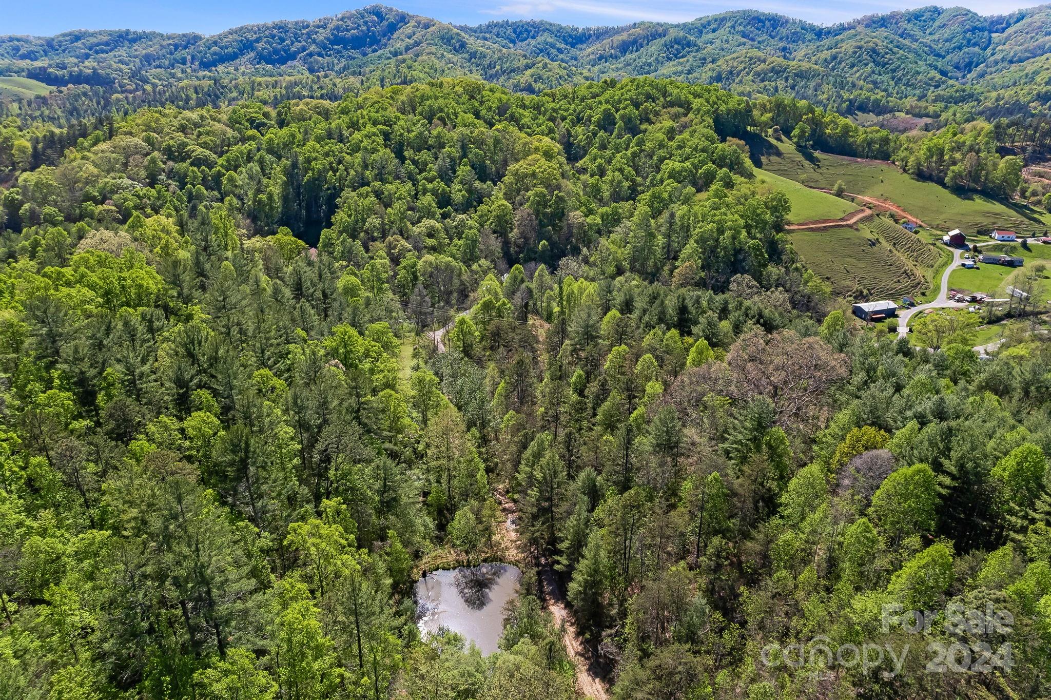 850 East Fork Road Marshall, NC 28753 - Photo 37 of 48 an aerial view of a house with yard
