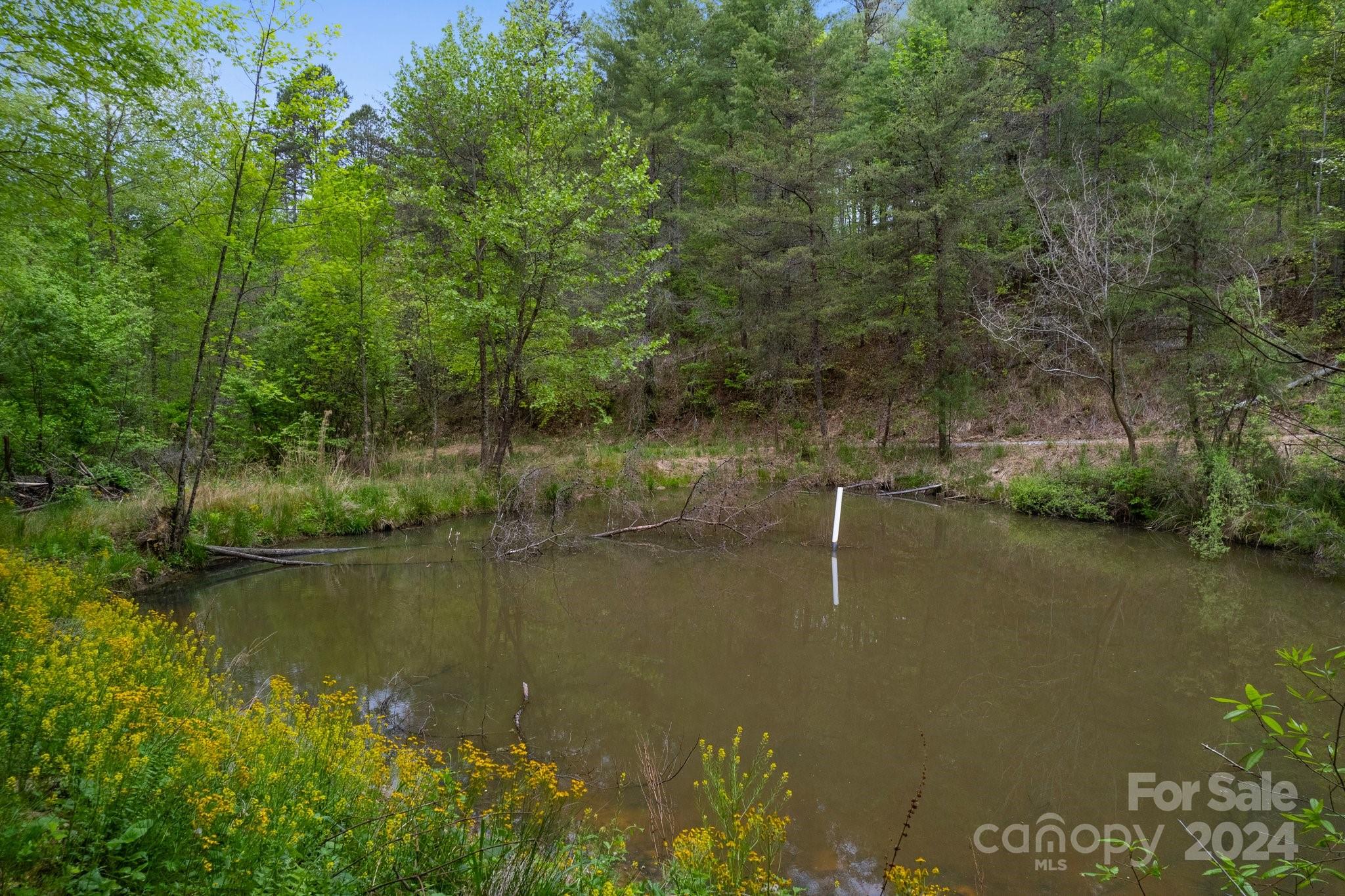 850 East Fork Road Marshall, NC 28753 - Photo 38 of 48