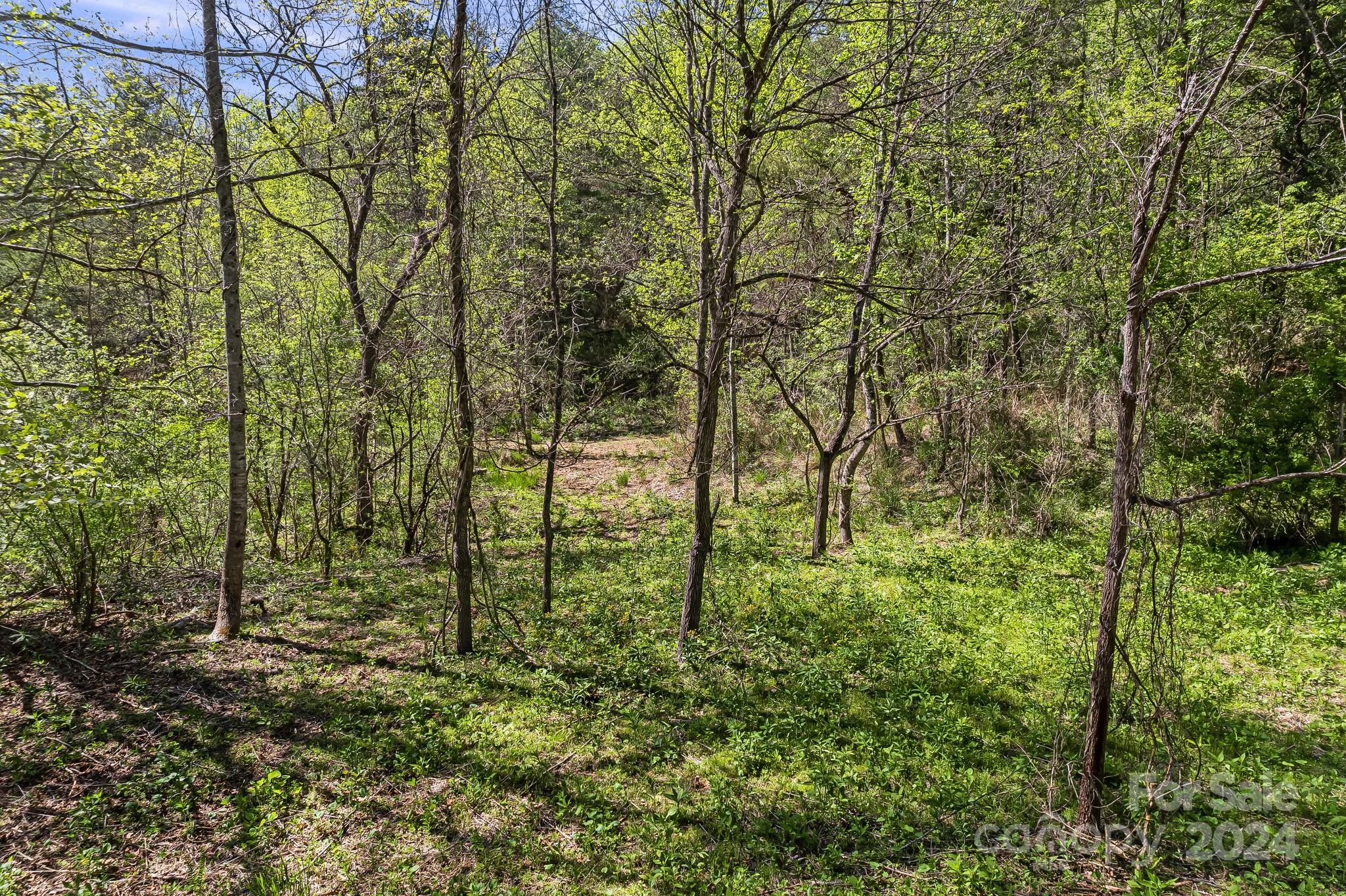 850 East Fork Road Marshall, NC 28753 - Photo 41 of 48 a view of outdoor space and green space