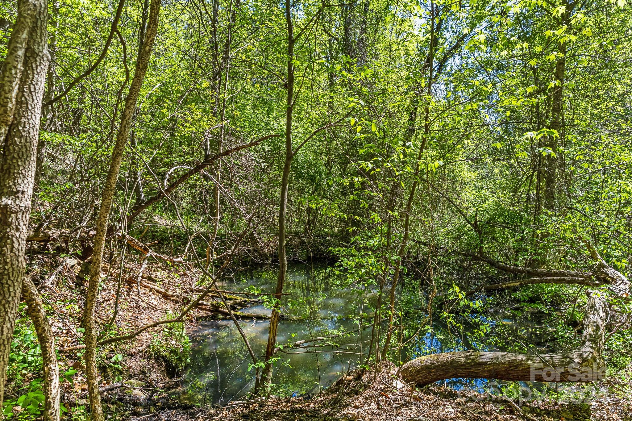 850 East Fork Road Marshall, NC 28753 - Photo 42 of 48 a view of a garden