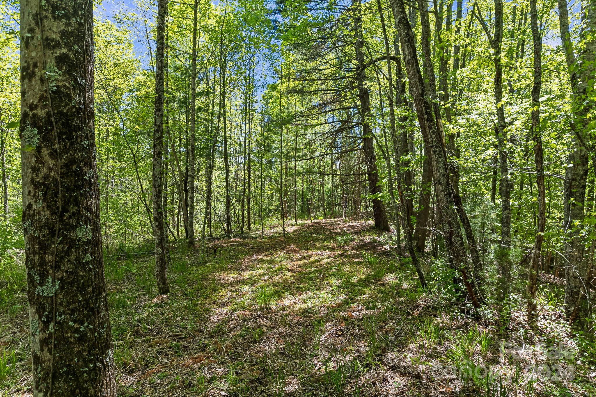 850 East Fork Road Marshall, NC 28753 - Photo 43 of 48 a view of outdoor space and a yard