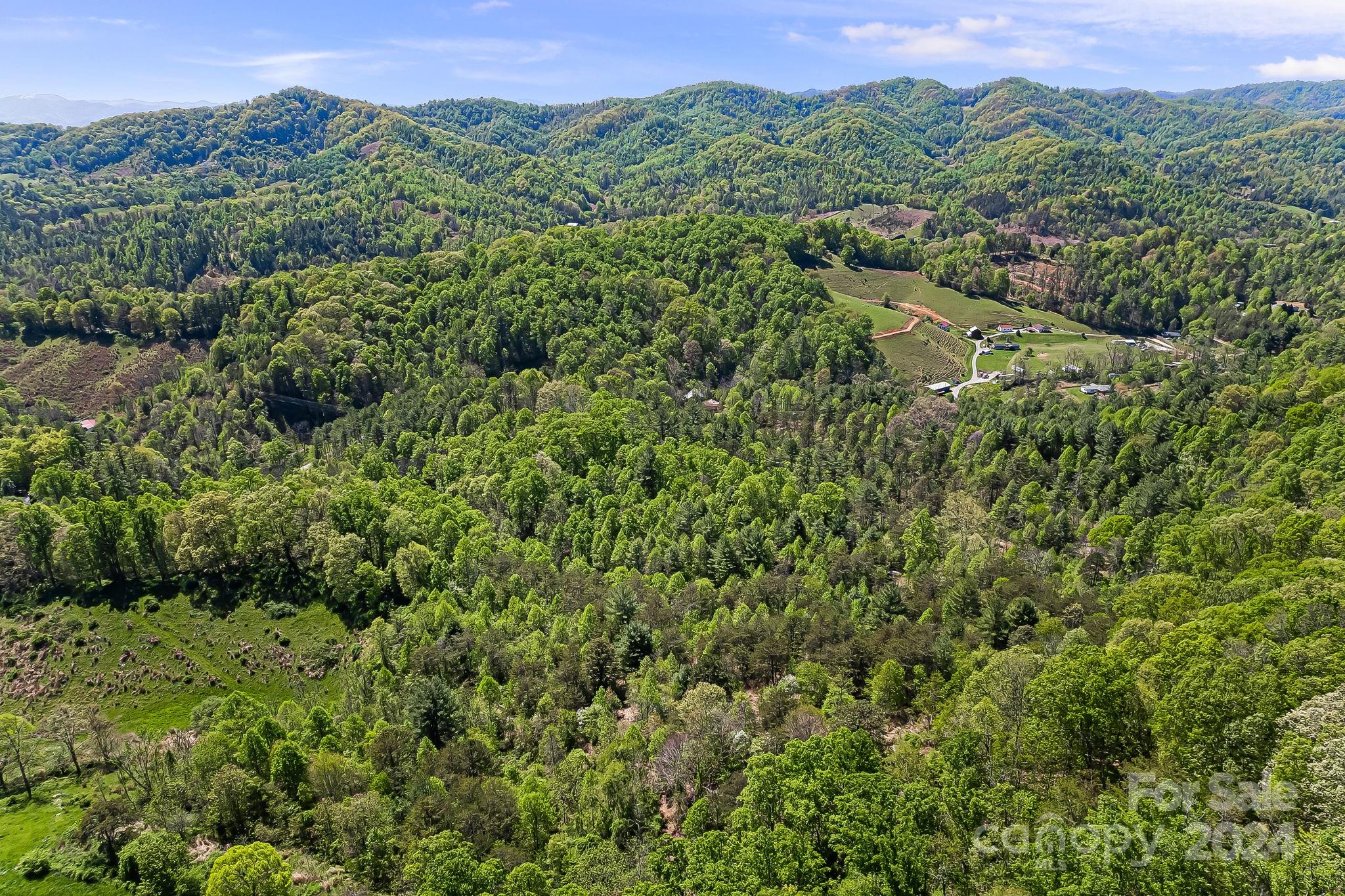 850 East Fork Road Marshall, NC 28753 - Photo 46 of 48 a view of a lush green forest with trees and houses