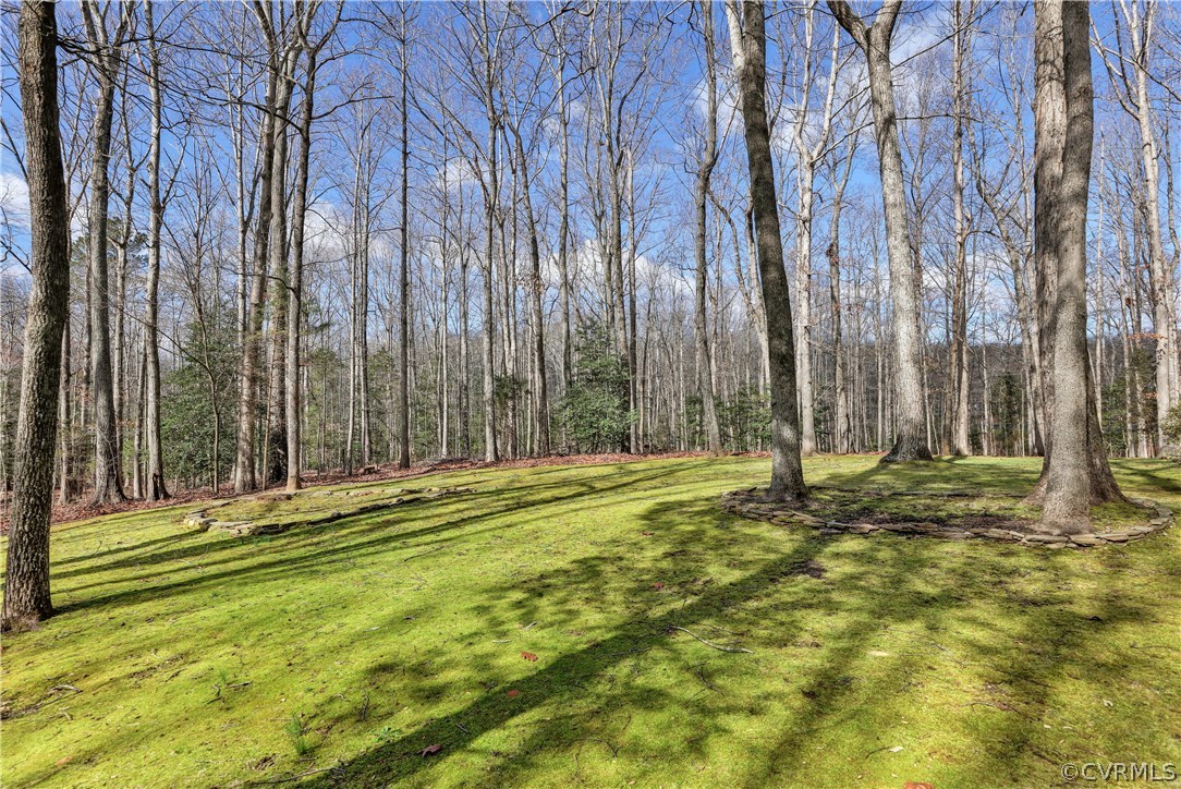 2010 Swamp Fox Road Midlothian, VA 23112 - Photo 40 of 41 Gallery Image 40