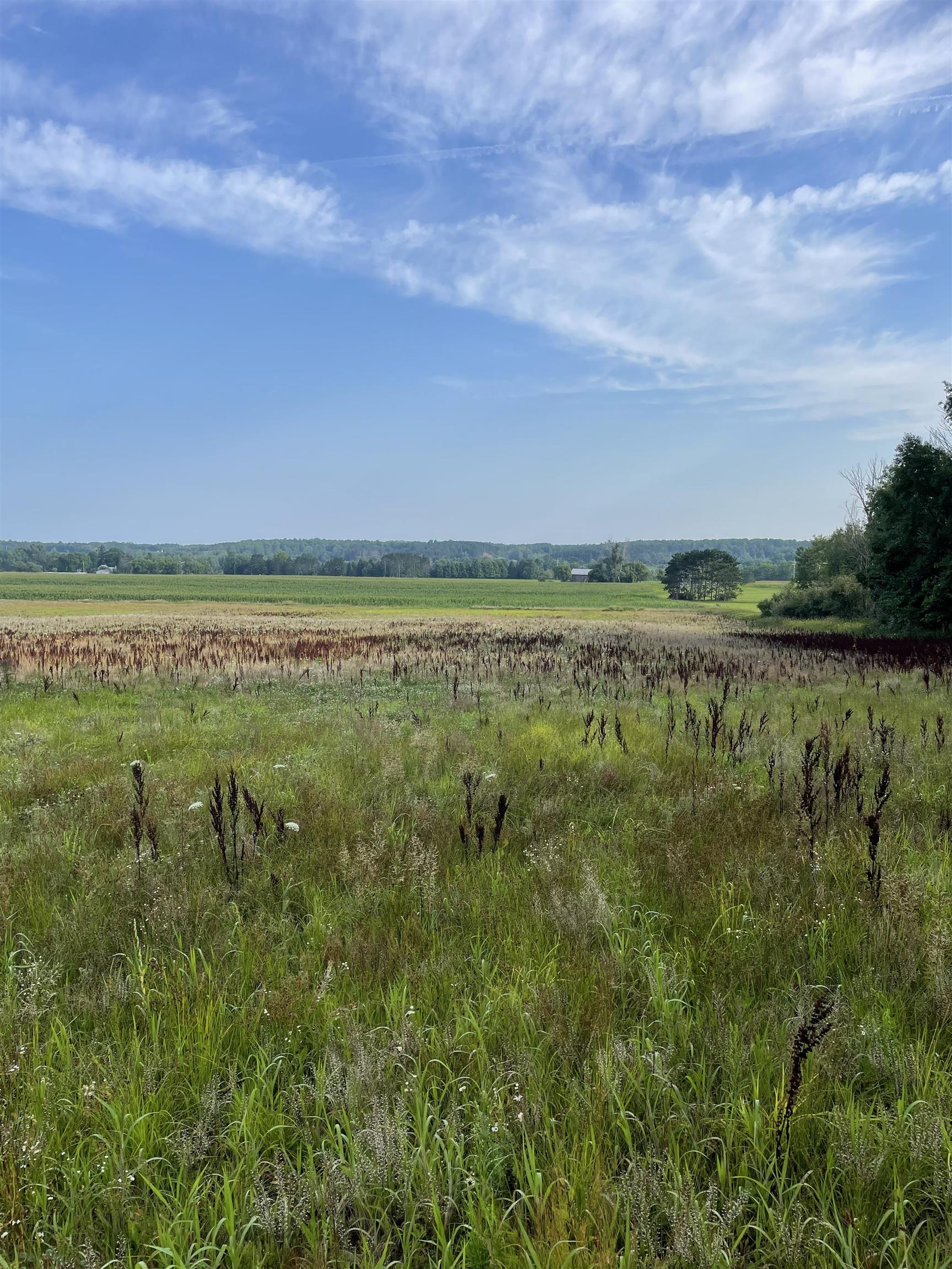 0 3 3 Mile Road Reed City, MI 49677 - Photo 4 of 11 Gallery Image 4