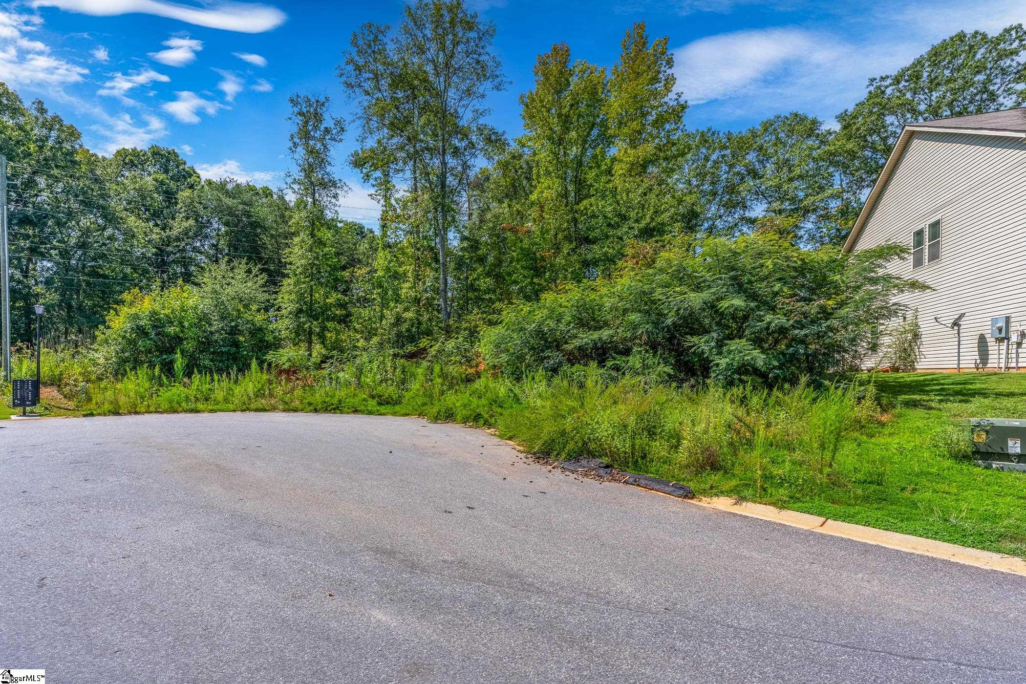 0 Wildflower Road Easley, SC 29642 - Photo 2 of 19