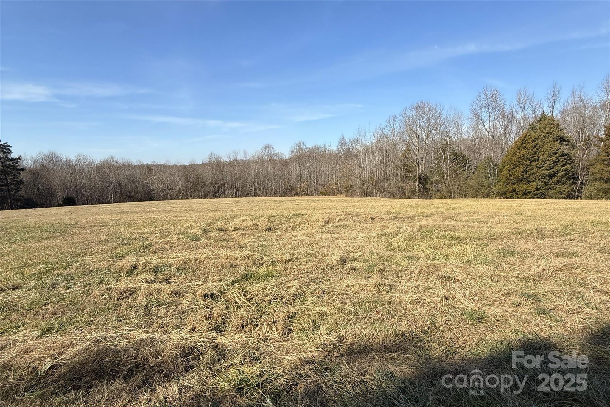 Lot C Ramah Church Road Blacksburg, SC 29702 - Photo 12 of 22