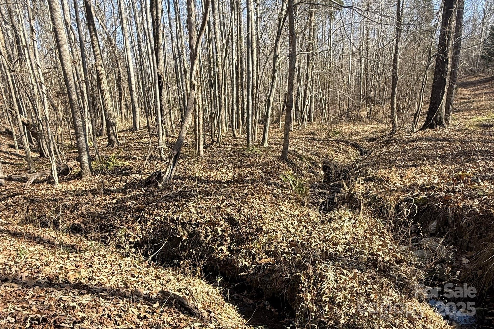 Lot C Ramah Church Road Blacksburg, SC 29702 - Photo 14 of 22