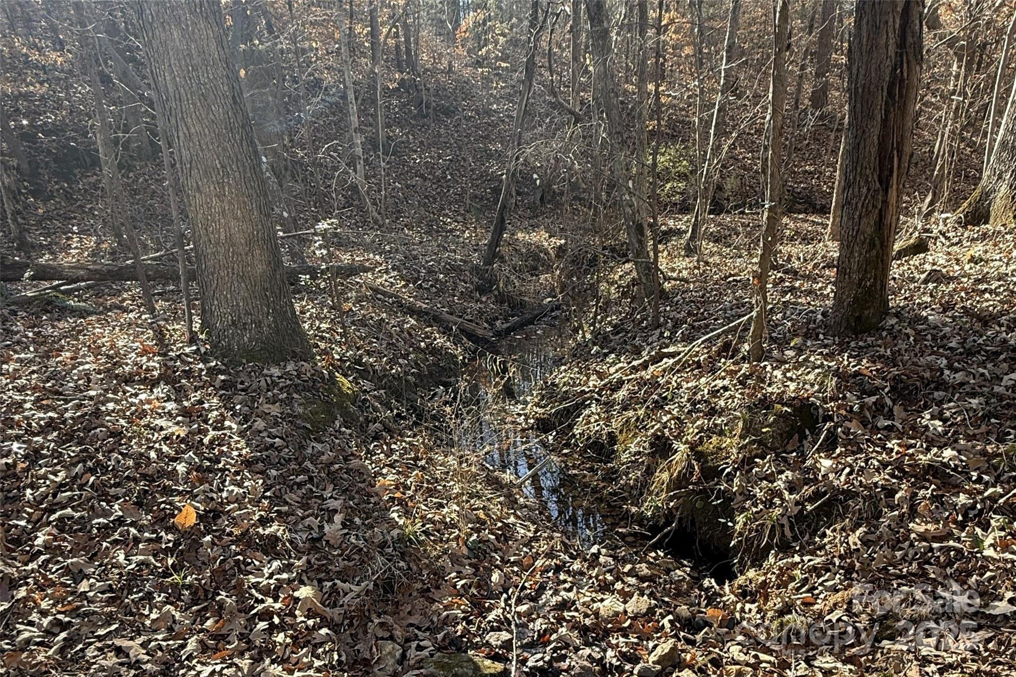 Lot C Ramah Church Road Blacksburg, SC 29702 - Photo 15 of 22