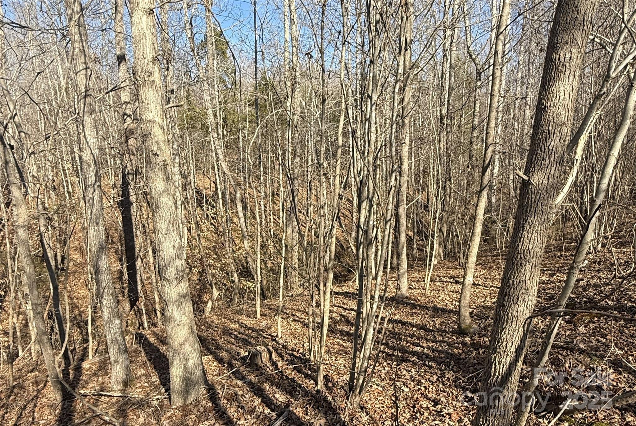 Lot C Ramah Church Road Blacksburg, SC 29702 - Photo 17 of 22
