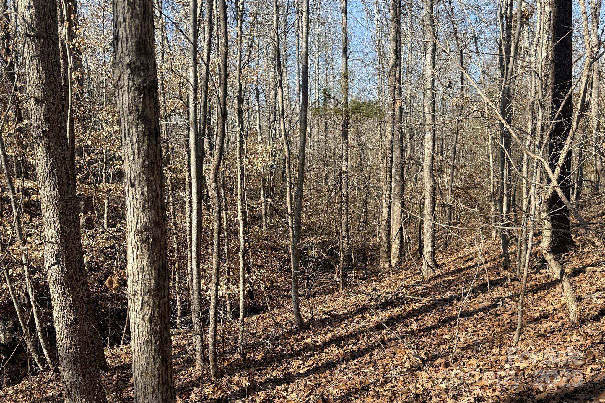 Lot C Ramah Church Road Blacksburg, SC 29702 - Photo 18 of 22