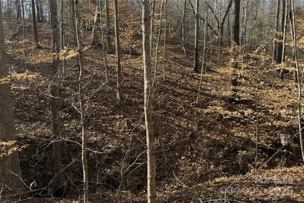 $250,000 | 10-ac Ramah Church Road, Unit LOT C, Blacksburg, SC 29702