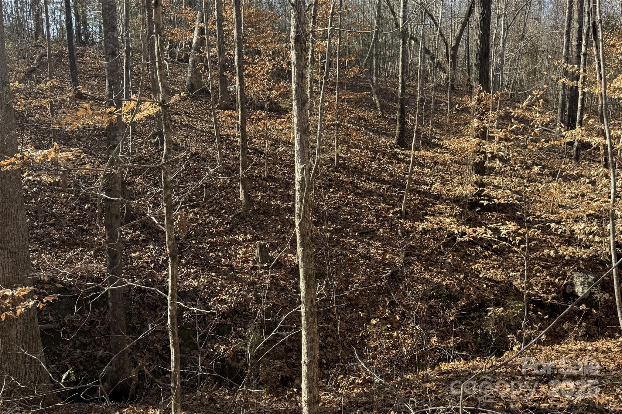 Lot C Ramah Church Road Blacksburg, SC 29702 - Photo 19 of 22