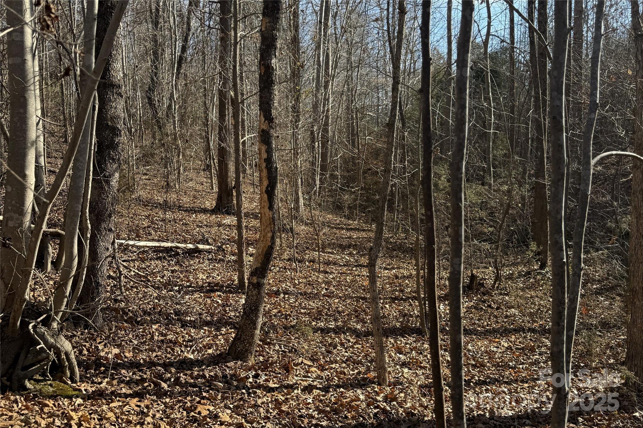 Lot C Ramah Church Road Blacksburg, SC 29702 - Photo 20 of 22