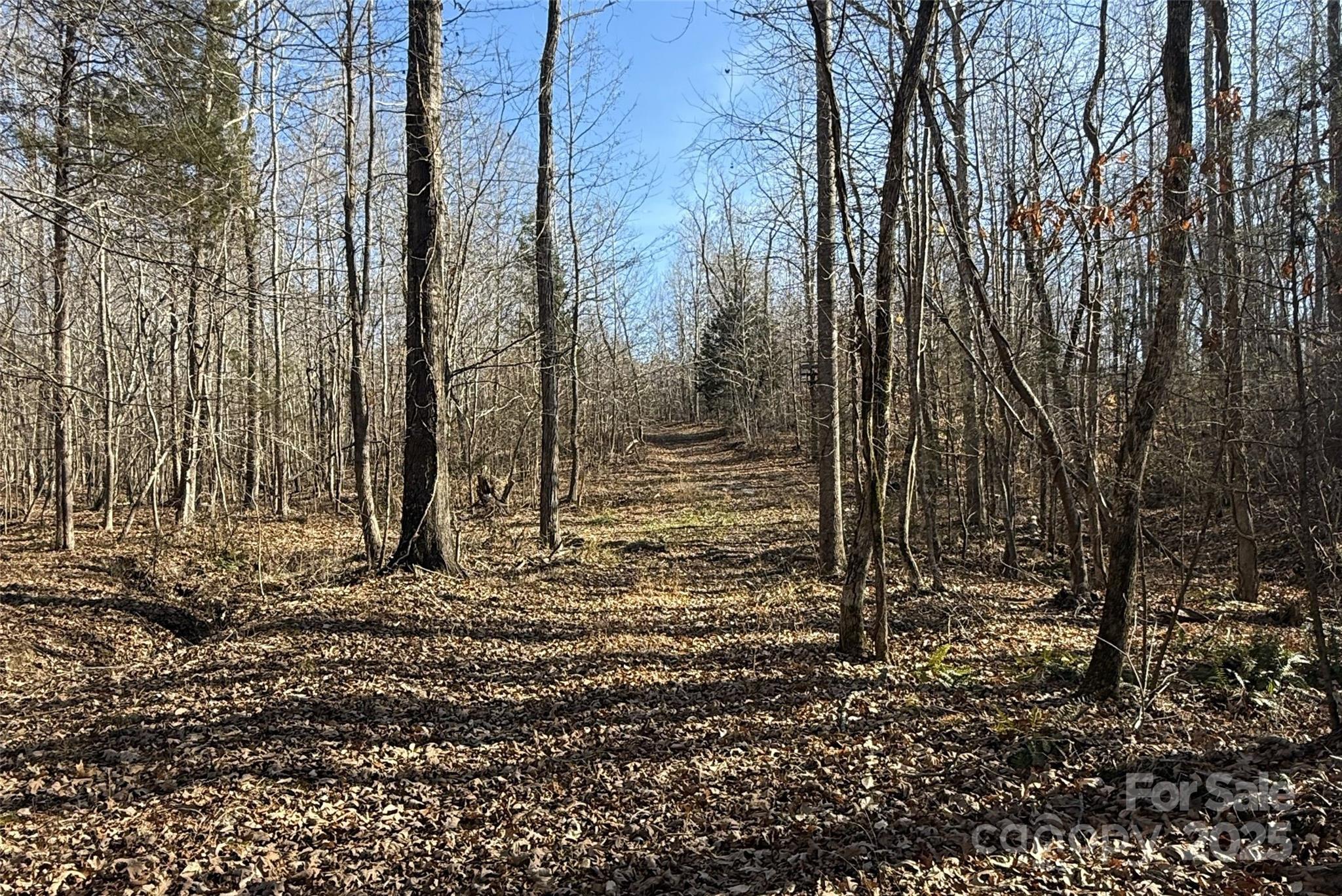 Lot C Ramah Church Road Blacksburg, SC 29702 - Photo 21 of 22