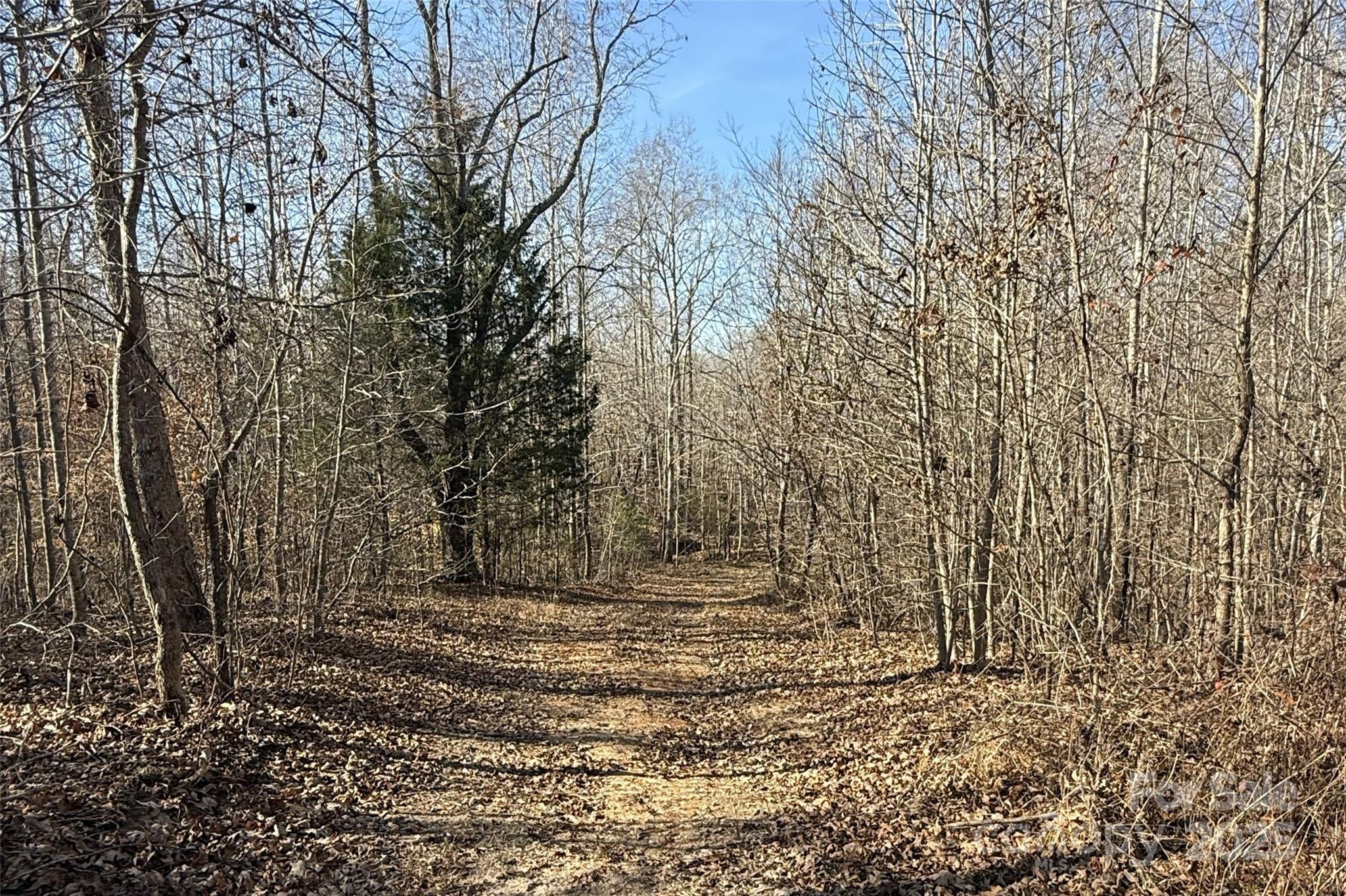 Lot C Ramah Church Road Blacksburg, SC 29702 - Photo 22 of 22