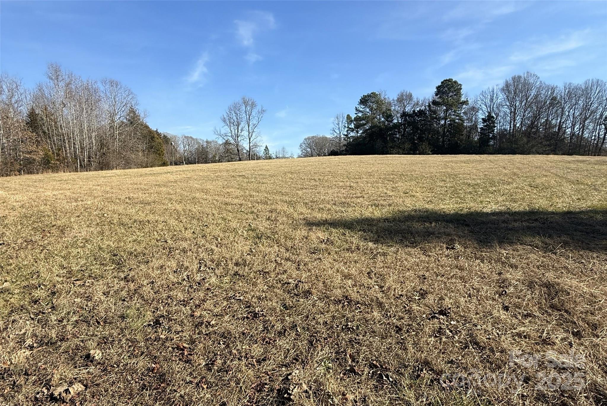 Lot C Ramah Church Road Blacksburg, SC 29702 - Photo 5 of 22