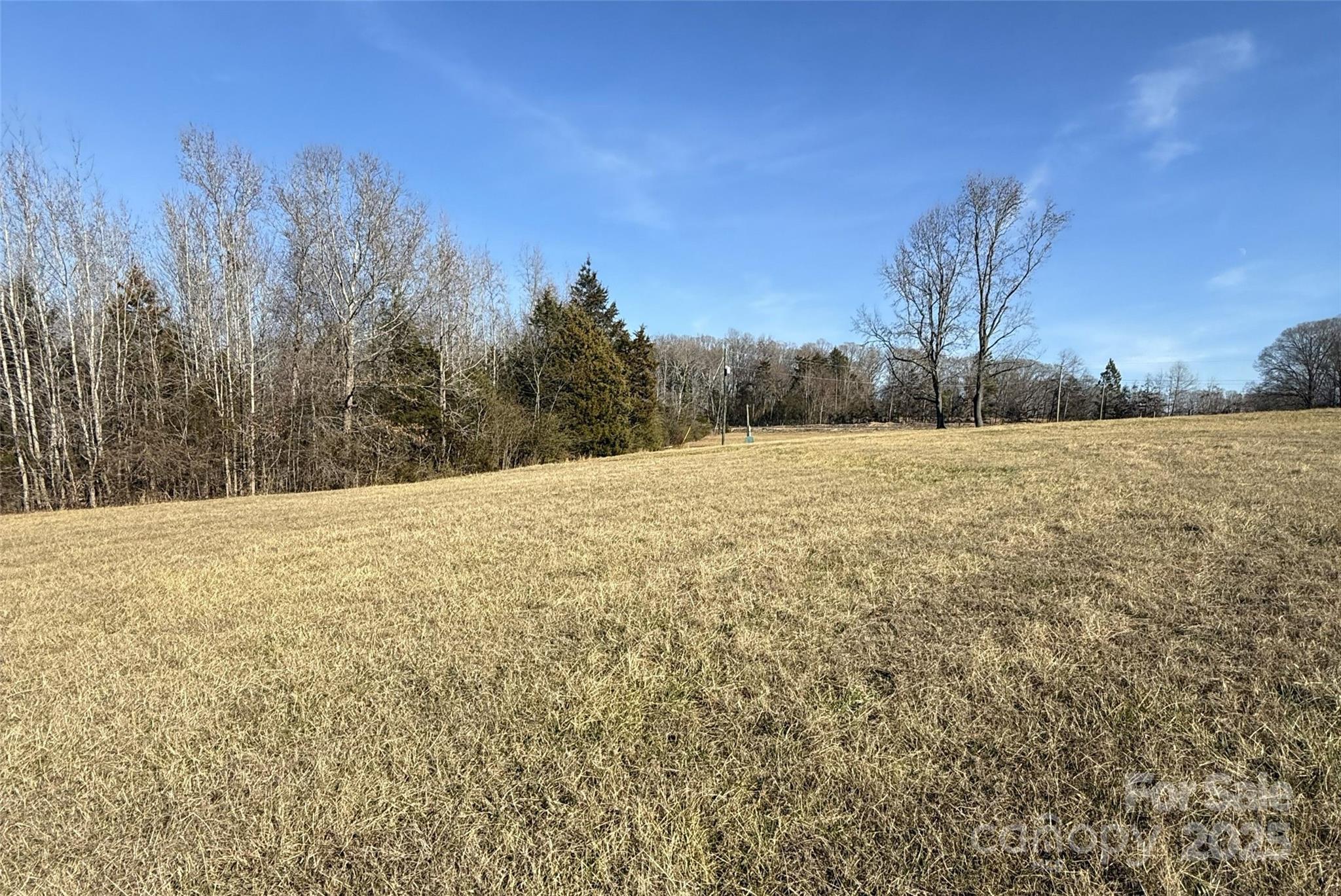 Lot C Ramah Church Road Blacksburg, SC 29702 - Photo 6 of 22