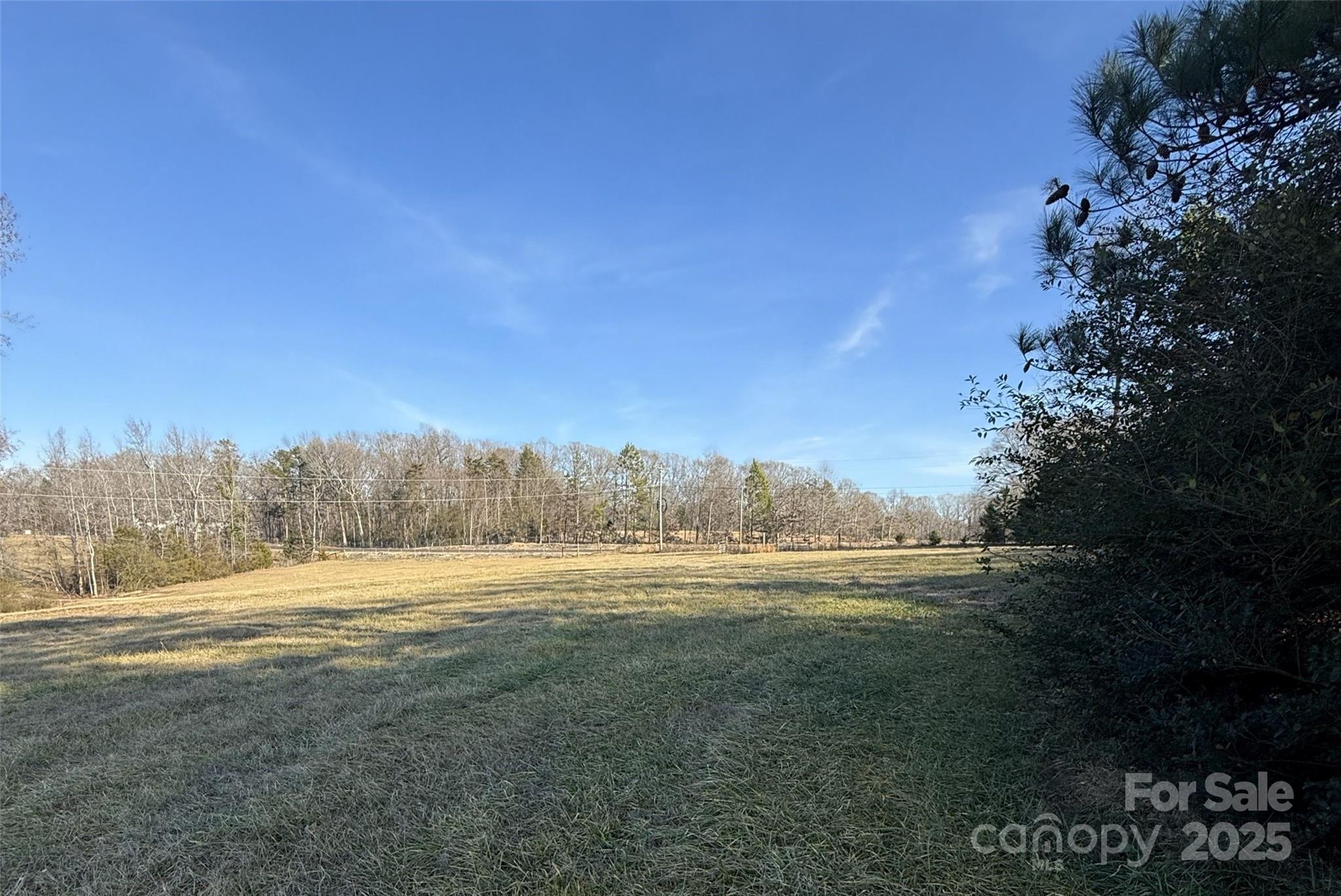 Lot C Ramah Church Road Blacksburg, SC 29702 - Photo 7 of 22