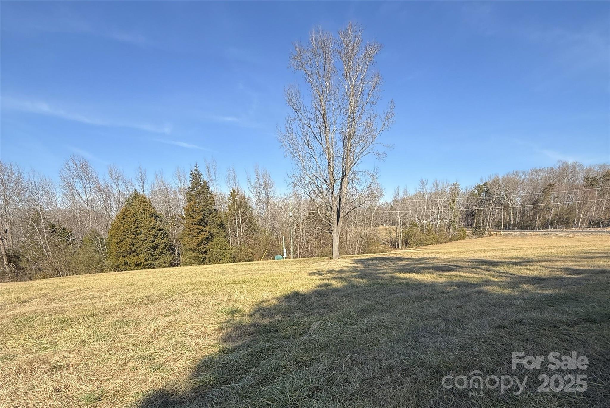Lot C Ramah Church Road Blacksburg, SC 29702 - Photo 8 of 22